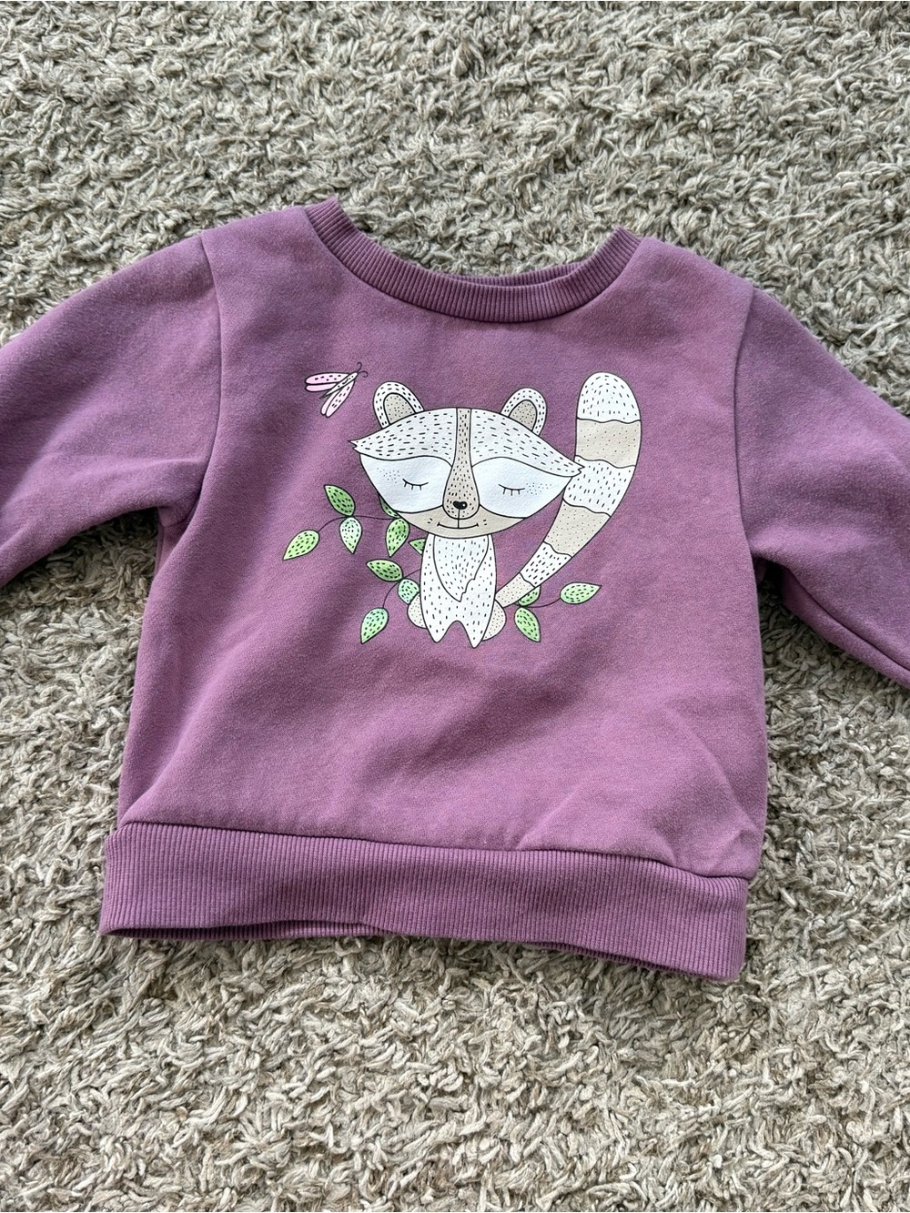 Falls Creek Mauve Crewneck Sweatshirt with Raccoon Graphic